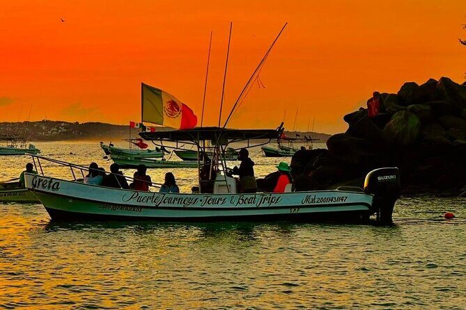 Dolphin and Whale Watching Boat Trip in Puerto Escondido - Who Should Consider This Tour?