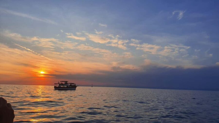 Dolphin safari every evening - Who Will Enjoy This Tour?