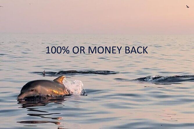 Dolphin Sunset Adventure with Speedboat - Final Thoughts