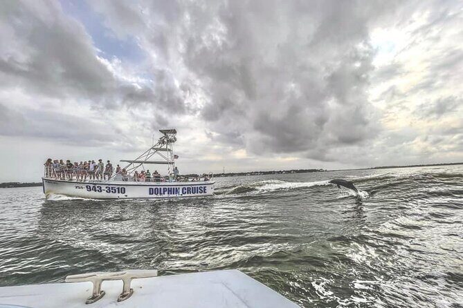 Dolphin Watching aboard the Cold Mil Fleet - The Boats: Comfortable and Designed for Viewing