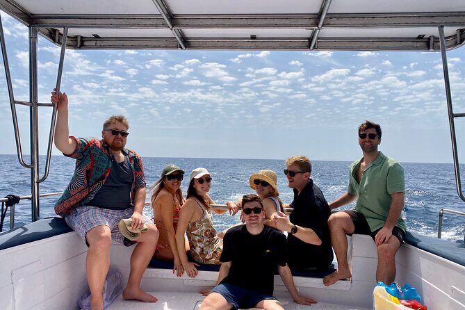 Dolphin Watching in Benalmadena - Authentic Encounters and Realistic Expectations