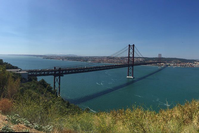 Dolphin Watching in the Wild - Half Day - Authentic Experiences and Traveler Insights