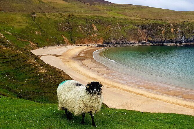 Donegal Private Tour Slieve League & Glenveagh National Park - Assaranca Waterfall and the Scenic Drive