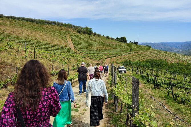 Douro Tour with Wine Tasting, River Cruise and Visit to Lamego - The Itinerary in Detail