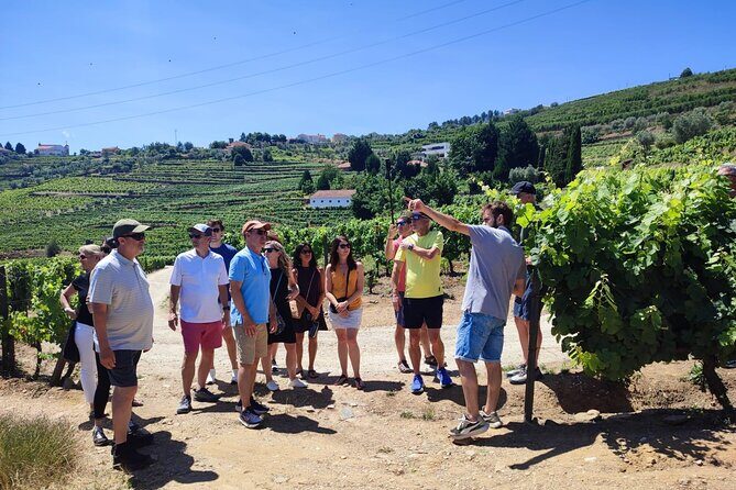 Douro Valley for Wine Lovers with Visit to 3 Vineyards and Lunch at a Winery - Practical Details: What Travelers Should Know