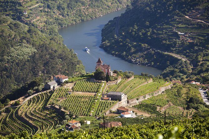 Douro Valley Private Full-Day Tour from Porto - Reviewing the Experience: What Travelers Say