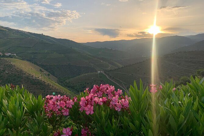 Douro Valley private tour includes wine tasting and boat trip - Why This Tour Works