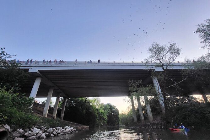 Downtown Houston Bat and Skyline Kayaking Tour - The Sum Up