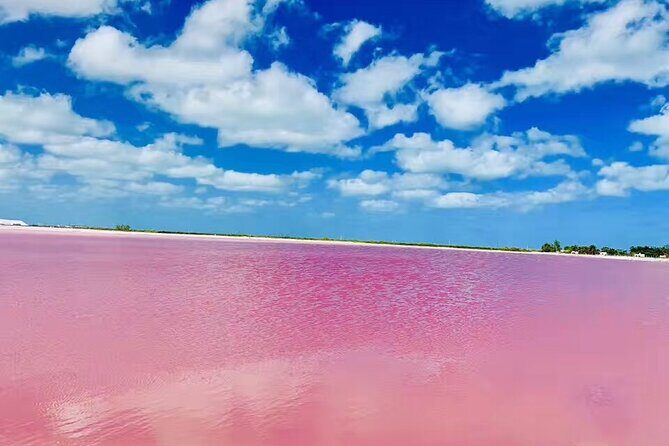 Dream Vacation in Cancun 5 Days Romantic Tour - Who Should Consider This Tour?