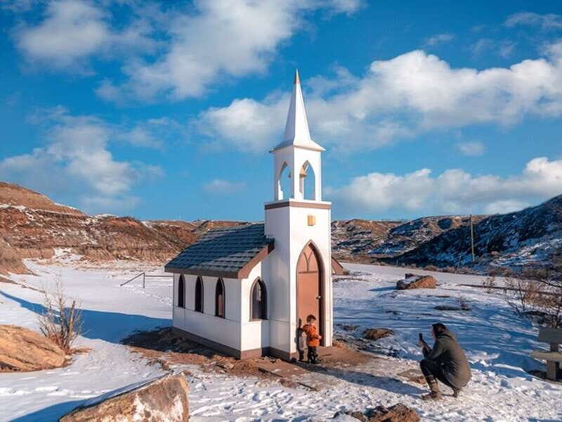 Drumheller: Bad Land & Dinosaur Museum Tour from Calgary - Transportation and Group Experience