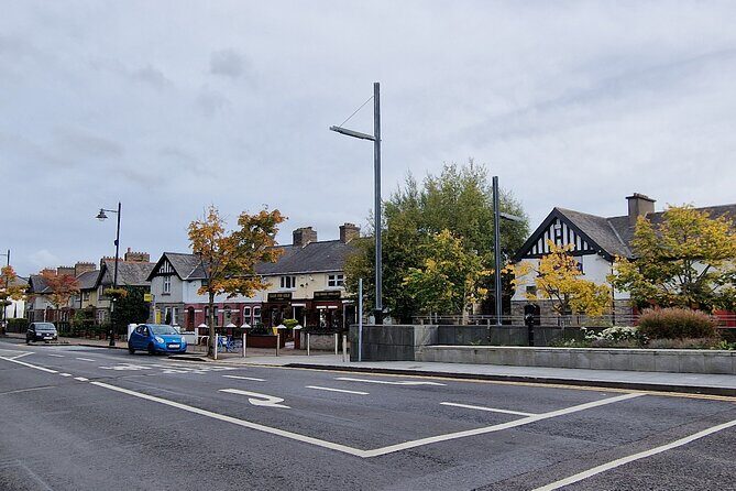 Dublin Guided Walking Tour of Tallaght - An Introduction to Tallaght through a Local Lens