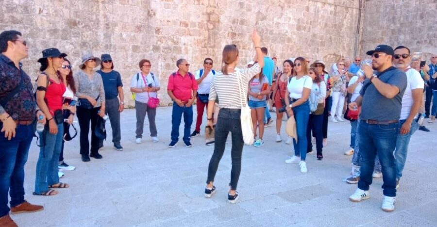 Dubrovnik: 1.5-Hour Guided Old Town Walking Tour - What You Can Expect on the Tour