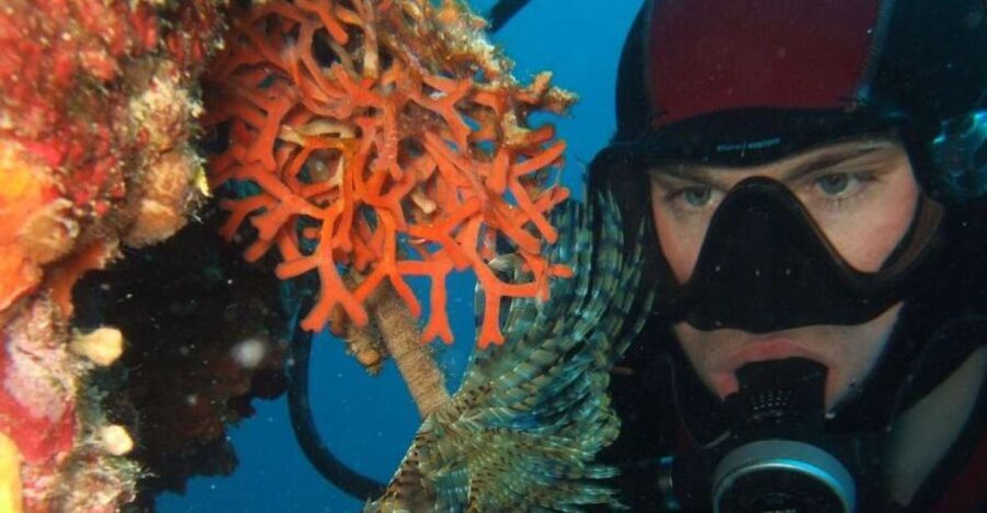 Dubrovnik: 1-Day Diving Package - Authentic Experiences from Other Travelers  