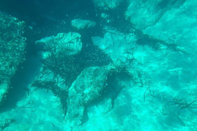 Dubrovnik: Blue Cave & Elaphiti islands & Optional Lunch Onboard - Authentic Experiences and Common Concerns