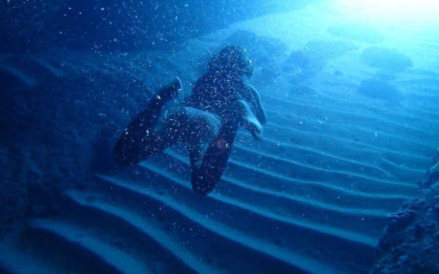 Dubrovnik: Blue Cave Tour with Panoramic Old Town View - Who Should Book This Tour?