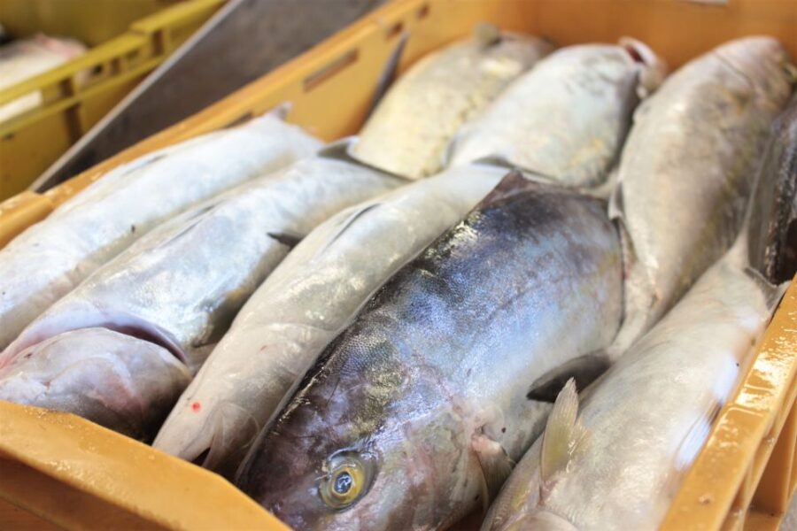 Dubrovnik: Private Cooking Experience with Wine Tasting - Practical Details and What to Expect