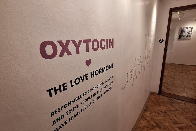 Dubrovnik Romantic Walking Tour for Couples with Love Museum - Final Thoughts