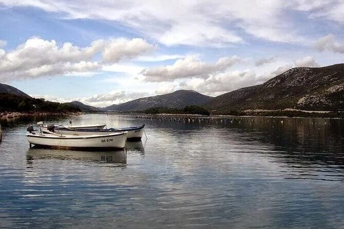 Dubrovnik: Taste of Local Cuisine - Who Should Consider This Tour?