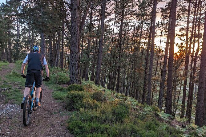 E-Bike excursions from Wareham, Dorset - Who Will Love This Tour?