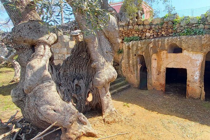 e-Bike tour from Monopoli to the rocky village of S. Andrea - The Experience’s Pros and Cons