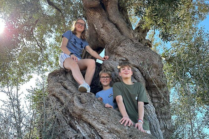 E-bike tour in Ostuni. Oil mill, Dolmen and huge olive trees - Authentic Experiences That Stand Out