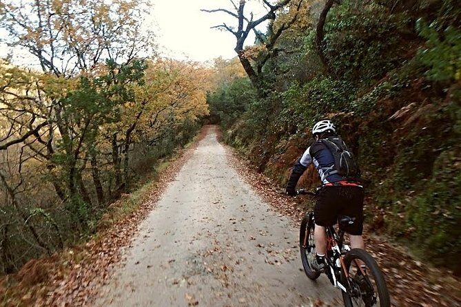 E-bike Tour: Peneda Geres National Park - Serra Amarela - Forests of Enchantment: Albergaria Forest