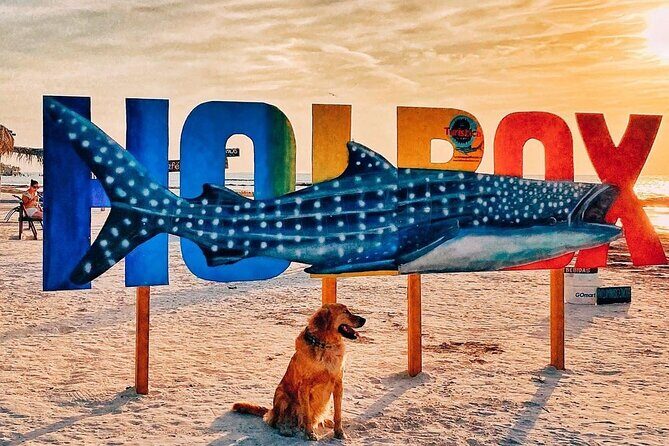 ECO-Adventure at Holbox Island and Cenote Yalahau from Cancun & Playa Del Carmen - Discovering the Itinerary: An In-Depth Look