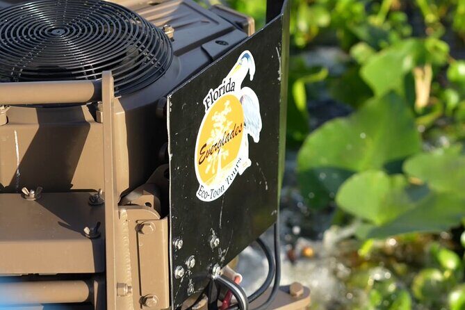 Eco Adventure Scenic Wildlife Boat Cruise - Why This Tour Is a Great Choice