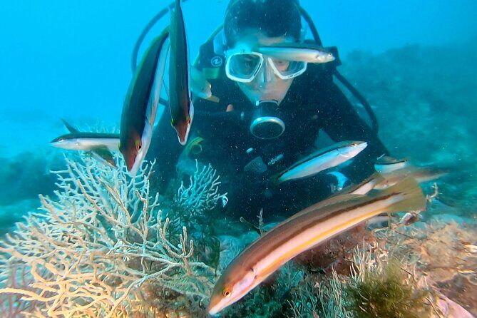 Eco - Try Dive - An In-Depth Look at the Try Dive Experience