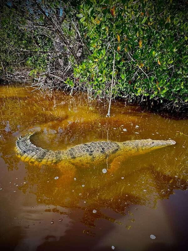 ECOSAFARI - The Cultural and Wellness Element: The Mayan Clay Bath