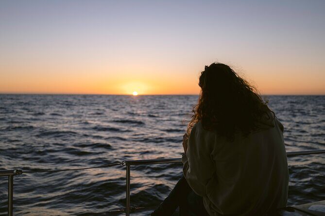 Educational Sunrise Whale Watching with Photos Included - The Sum Up