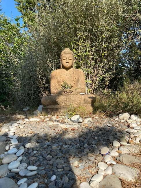 Ehrwald: Time to Relax-Outdoor Yoga in Mountain Scenery - What to Expect During the Tour