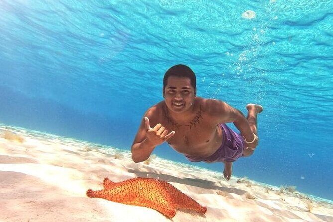 El Cielo Beach Snorkeling Adventure by Catamaran - Coral Reef Stops and Marine Life