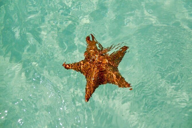 El cielo Cozumel From Cancún and round Transfer with Lunch - Practical Details to Keep in Mind