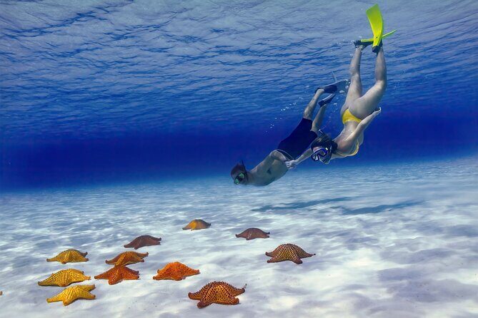 El Cielo Cozumel Snorkel Share Boat + Reefs + Food Drinks + Beach - What Makes This Tour Stand Out?
