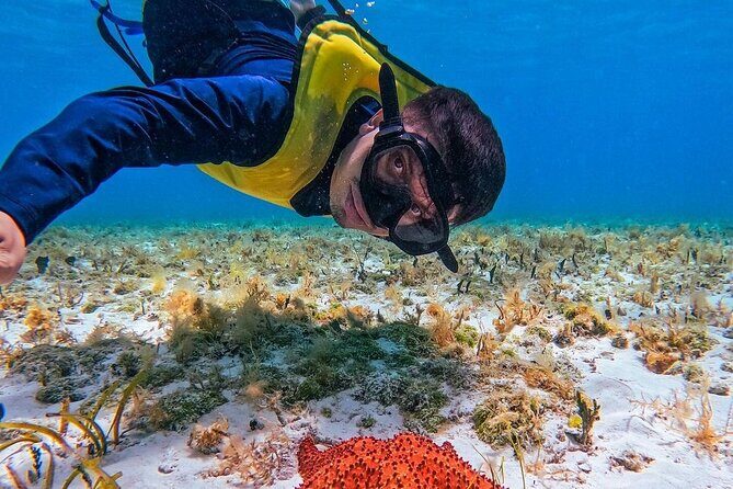 El Cielo Snorkeling Adventure in Cozumel - What’s Included and What’s Not