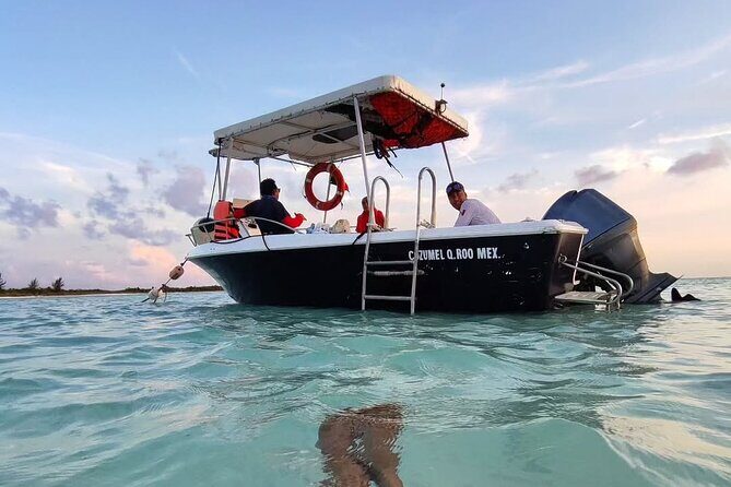 El Cielo Snorkeling Tour and The Top Reefs of Cozumel - Columbia Reef: The Deep End of Beauty