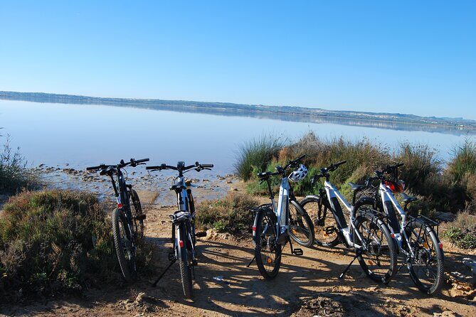 Electric Bicycle Tour through the Natural Parks of Torrevieja - Authentic Experiences and Honest Feedback