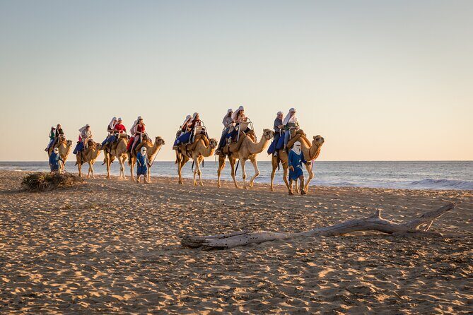 Electric Bike and Beach Camel Ride with Mexican Buffet Lunch - Who Should Consider This Tour?