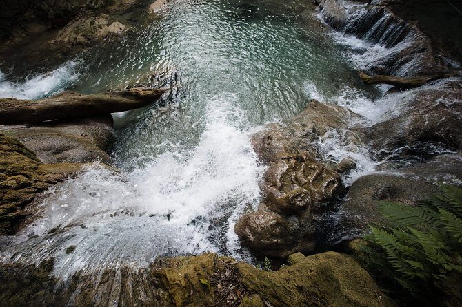 Emerald Falls Canadian Tour & Nature Experience - The Value of the Tour