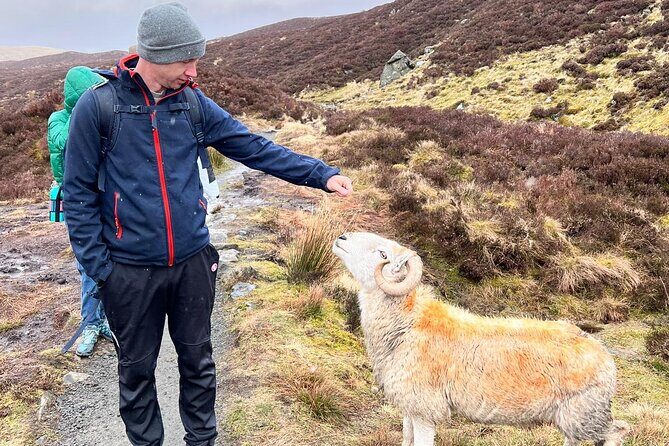 English Speaking Homestay Exploring Edinburgh and National Parks - Who Is This Tour Best Suited For?