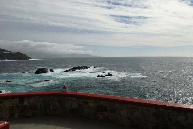 Enjoy La Bufadora and eat the best tacos! - The Practicalities: How the Tour Works