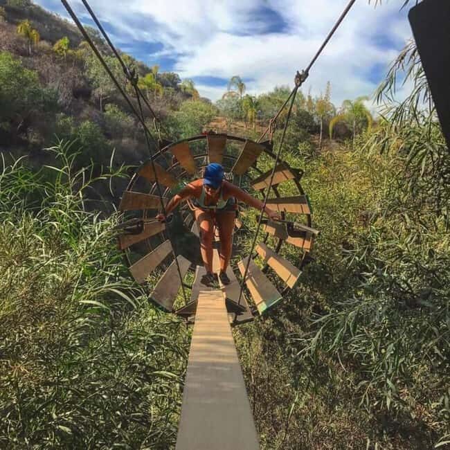 Ensenada: A thrilled family adventure of ziplines - What Makes This Tour Stand Out?