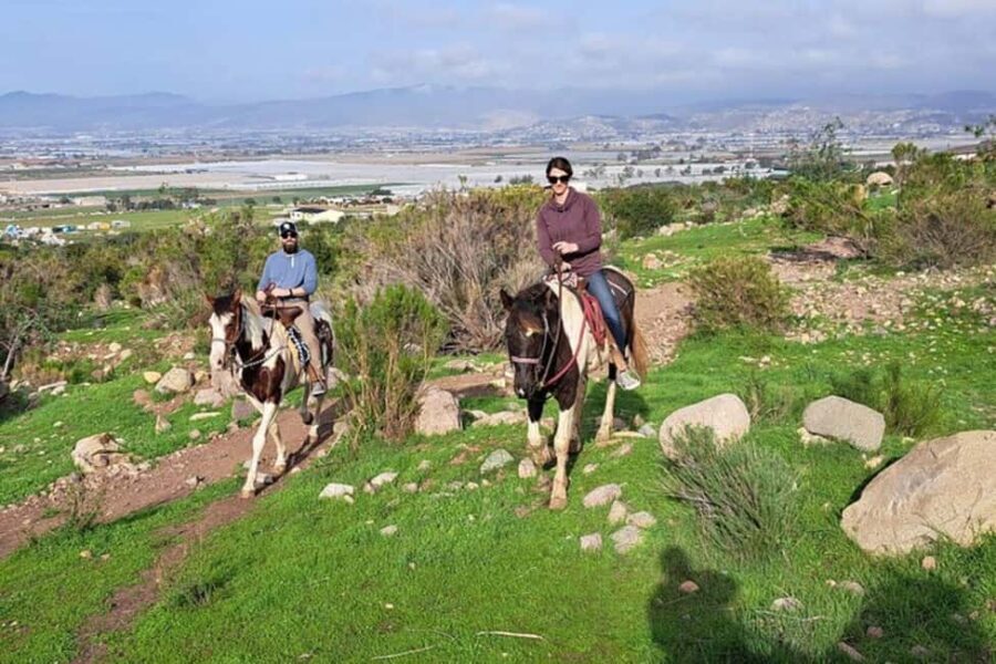 Ensenada: Bajas Hidden Trails: Horseback Ride w/ Ocean View - Authentic Baja Landscapes and Wildlife