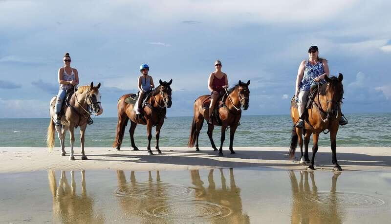 Ensenada: Horseback riding in the beach - The Scenic Drive and Views