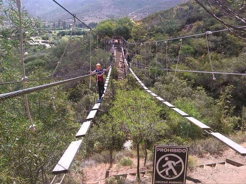 Ensenada: Las Cañadas Campamento Canopy Tour with Zip Lines - Authentic Reviews and Feedback