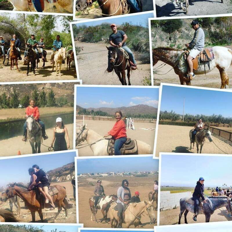 Ensenada: Punta Banda Horseback Riding Tour - Analyzing the Value: Price and What You’re Getting