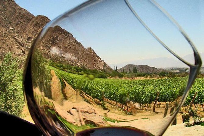 Ensenada Shore Excursion: Entre Santos and El Cielo Winery Tours with Lunch - The Itinerary: What You Can Expect