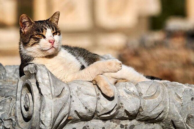 Ephesus and Virgin Mary House Private Tour with Lunch and Pickup - The Value of This Tour