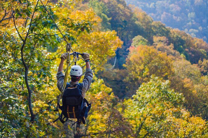 Epic Zipline Canopy Tour - The Gorge Zipline: Saluda, NC - Authentic Feedback from Guests